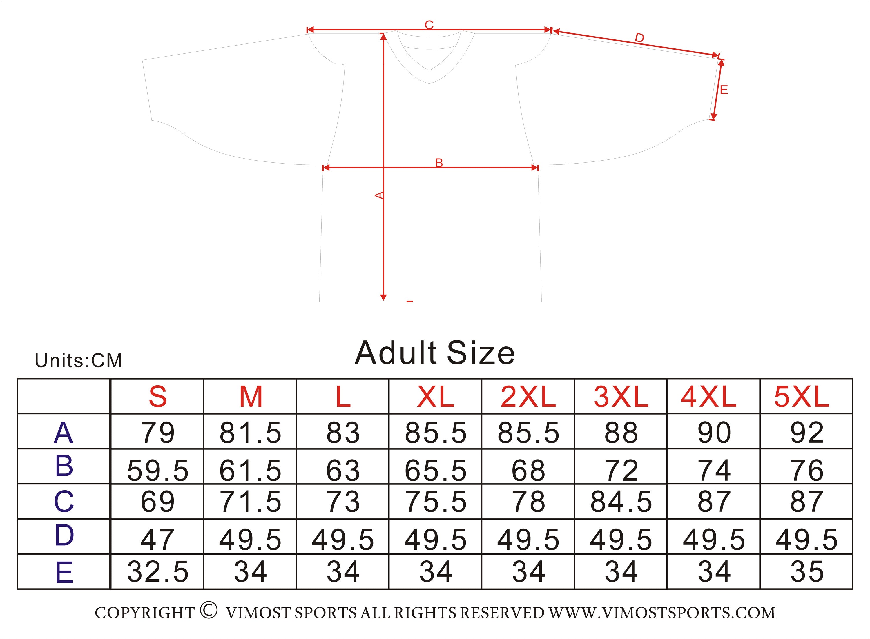 Sublimated RALEIGH RUSH Team Design Hockey Shirts